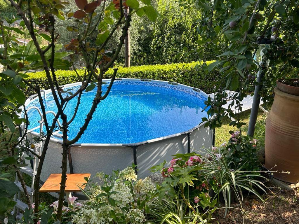 Casa Anna A Pietrasanta In Toscana Con Piscina Exteriör bild