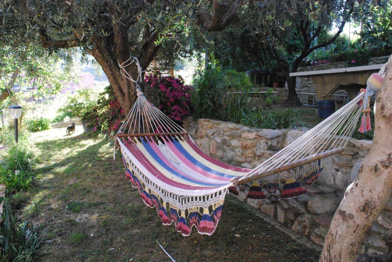 Casa Anna A Pietrasanta In Toscana Con Piscina Exteriör bild