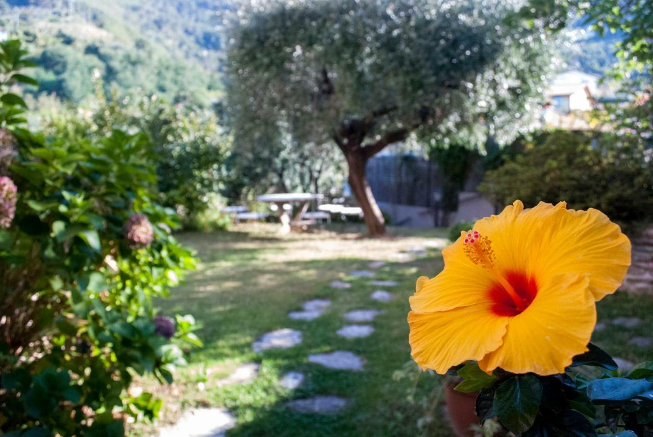 Casa Anna A Pietrasanta In Toscana Con Piscina Exteriör bild